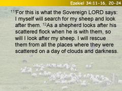 Ezekiel 34:11-16, 20-24