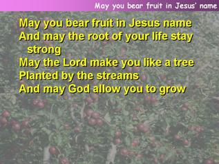 May you bear fruit in Jesus’ name