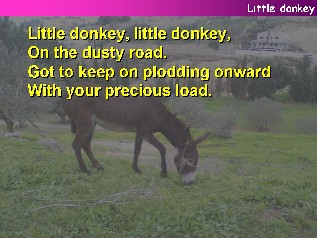 Little Donkey