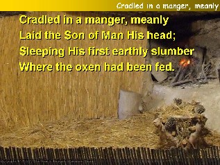 Cradled in a manger