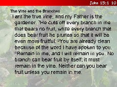 John 15:1-10