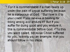 1 Peter 2:19-25