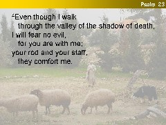 Psalm 23