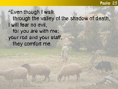 Psalm 23