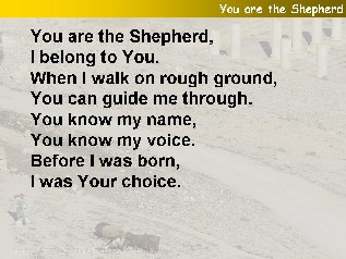 You are the Shepherd