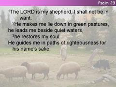 Psalm 23