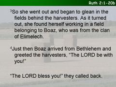 Ruth 2:1-20a