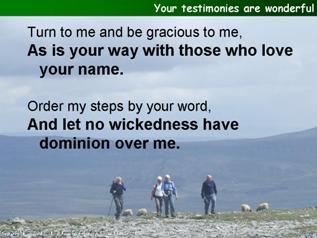 Your testimonies are wonderful (Psalm 119.129-136)