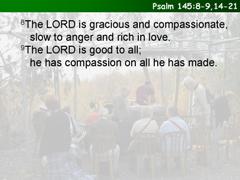 Psalm 145:8-9,14-21