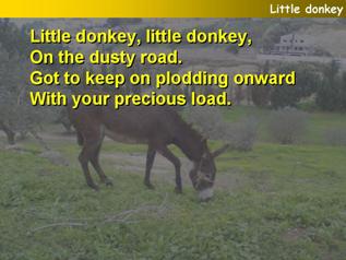 Little Donkey