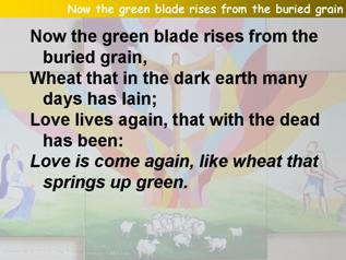 Now the green blade rises from the buried grain