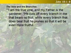 John 15:1-8