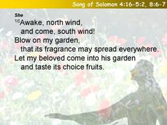Song of Solomon 4:16-5:2, 8:6-7