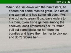 Ruth 2:1-23