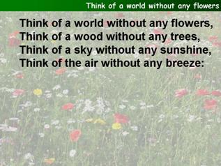 Think of a world without any flowers