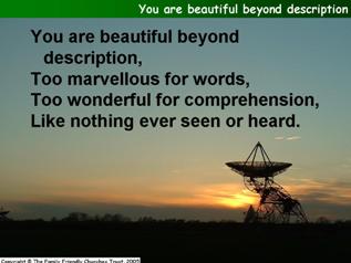 You are beautiful beyond description