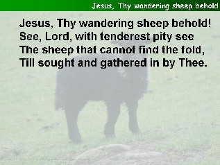 Jesus, Thy wandering sheep behold