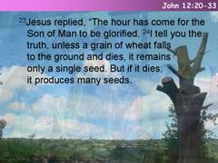 John 12:20-33