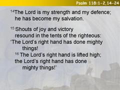 Psalm 118:1-2,14-24