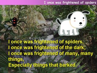 I once was frightened of spiders