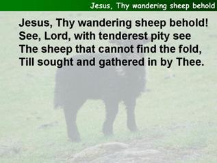 Jesus, Thy wandering sheep behold