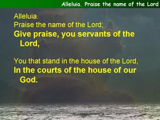 Alleluia. Praise the name of the Lord (Psalm 135)