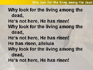 Why look for the living among the dead (He has risen)